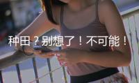种田？别想了！不