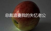 总裁追妻我的失忆