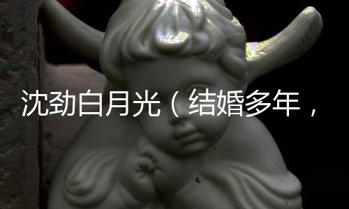 《宋檀记事》全文在线阅读