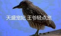 天盛宠妃 王爷轻