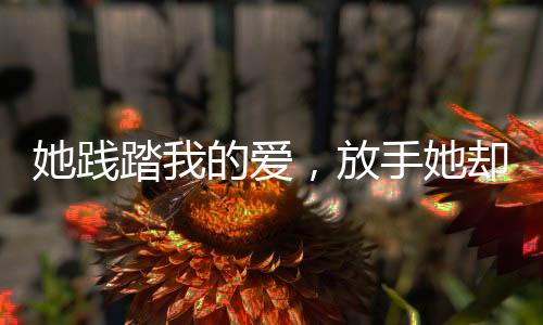 《席爷每天都想官宣》全文在线阅读
