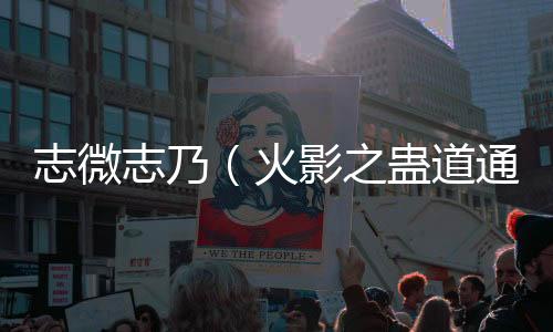 《全网黑后我在军旅综艺杀疯了》全文在线阅读