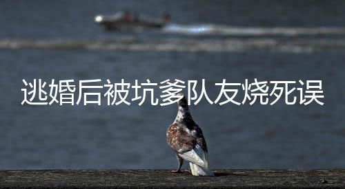《快穿年代之炮灰逆袭》全文在线阅读