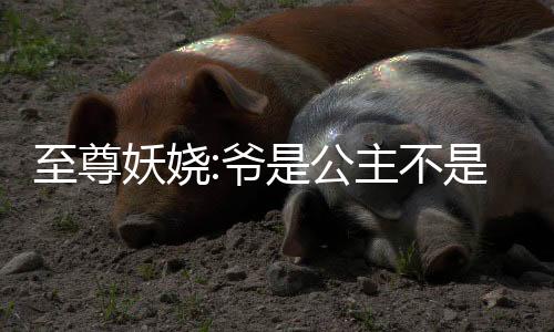 《预谋心动》全文在线阅读