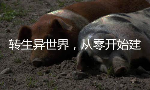 《穿书后，她在八十年代发家致富》全文在线阅读