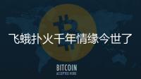 飞蛾扑火千年情缘