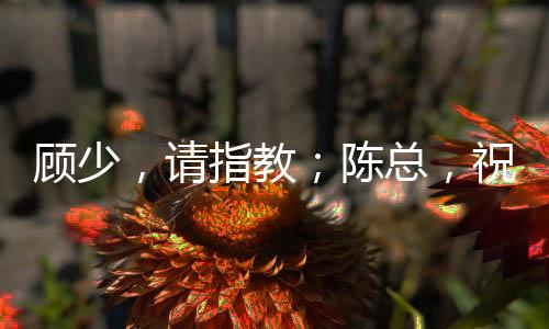 《婚色诱瘾》全文在线阅读