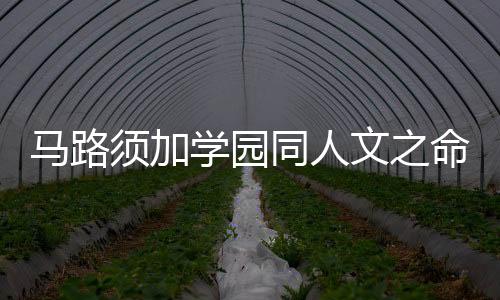 《电竞大神暗恋我》全文在线阅读